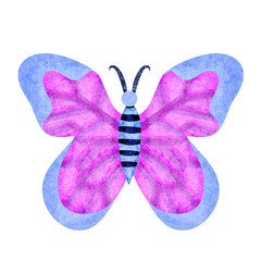 Watercolor Butterfly Illustration