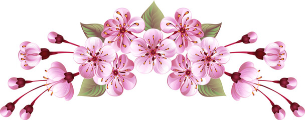 Fototapeta premium Header frame of pink sakura