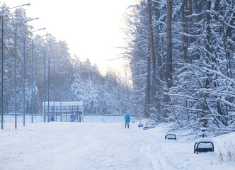 a skier skiing in a winter park