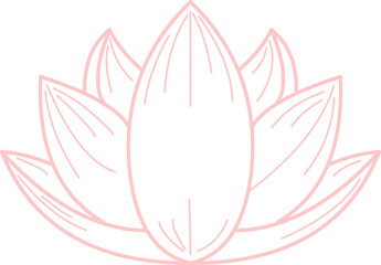 lotus flower