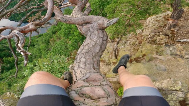 POV of man sitting on twisted pine over cliff at Vyhl&iacute;dka M&aacute;j viewpoint Czechia
