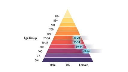 A demographic pyramid chart showing age groups and gender distribution