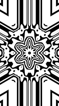 Black and white geometric kaleidoscope pattern with symmetrical flower. Aesthetic motion background