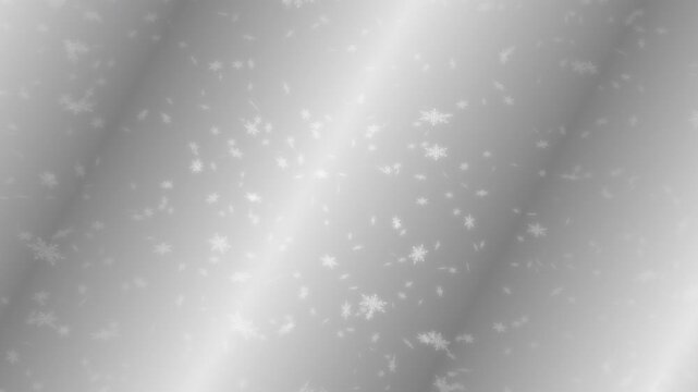 White snowflakes falling down on silver gradient moving background. Abstract background for Merry Christmas, Happy Holidays, Season's greetings, Happy Valentine's day and winter season.