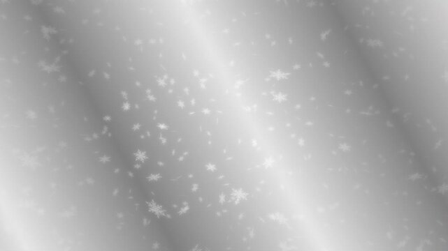 White snowflakes lit up and falling down on silver gradient moving background. Abstract background for Merry Christmas, Happy Holidays, Season's greetings, Happy Valentine's day and winter season.