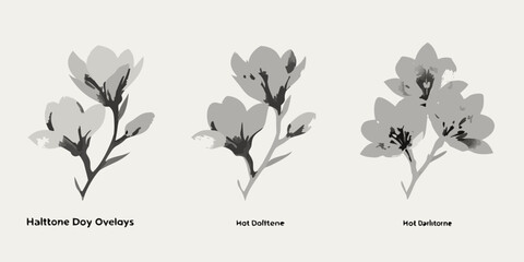 Halftone flower overlays with different effects high quality
