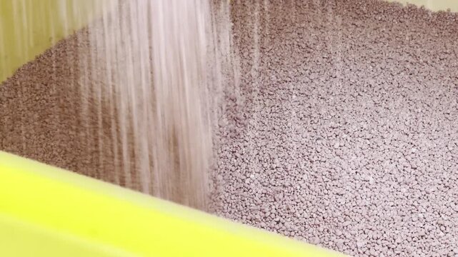 Close-up of seeds being poured into a planter hopper for future sowing. Agricultural detail showing preparation for planting and the start of a new growing cycle.