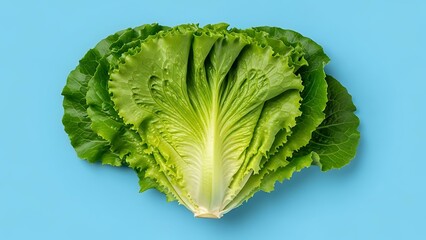Crisp romaine lettuce head, vibrant green leaves, isolated on blue background
