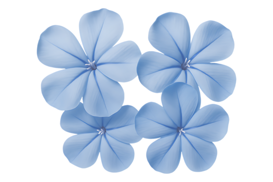 Soft Blue Floral Petals Cluster Decoration Isolated on Transparent Background - Powered by Adobe