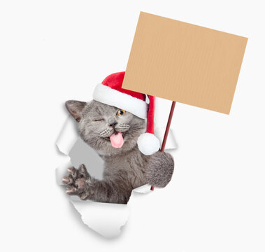 Winking happy cat with tongue out wearing red santa hat looking through a hole in white paper and holding blank placard on wooden stick