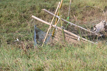 A traditional bamboo and mesh fishing trap is set in a narrow, flowing stream. The structure uses slanted bamboo poles to funnel water and fish into a fine blue net. Sustainable fishing method.