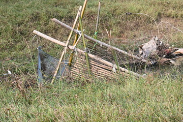 A traditional bamboo and mesh fishing trap is set in a narrow, flowing stream. The structure uses slanted bamboo poles to funnel water and fish into a fine blue net. Sustainable fishing method.