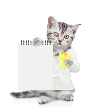 Cute kitten wearing bathrobe standing on hind legs, holding rubber duck and showing blank notepad. Empty space for text. Isolated on white background