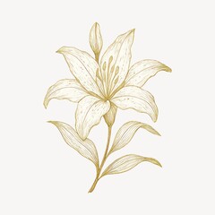Fototapeta premium Elegant golden lily illustration