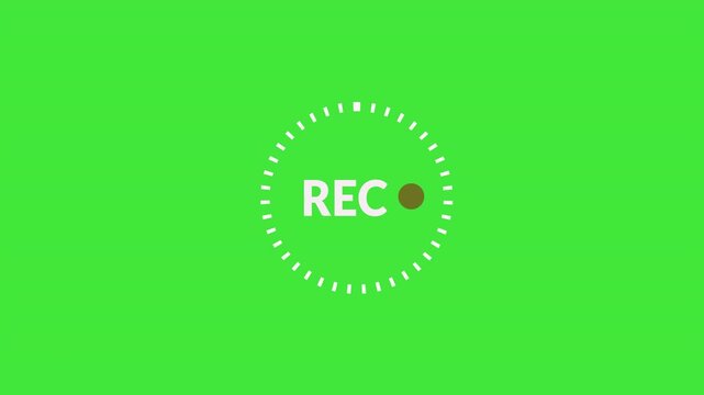 Video camera rec screen animation on a green screen background in 4k. for video editing, cinematic overlays, Vertical Replay Overlay. 4K Video animation in after effect