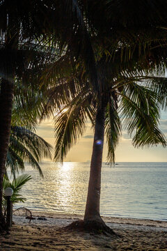 Tropical beach with palm trees at sunset light. Thailand islans, trevel vacation vibes.