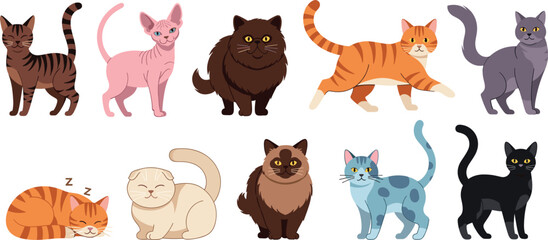Cute Cat Characters Vector Set with Different Breeds Colors and Poses in Flat Cartoon Illustration Style