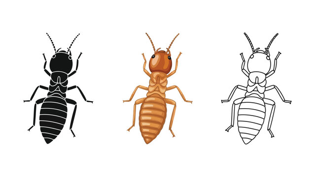 Set of three termite illustrations in black silhouette, colored, and outline styles