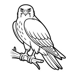 Obraz premium A falcon illustration vector style coloring page 