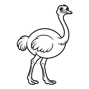 A ostrich illustration vector style coloring page 