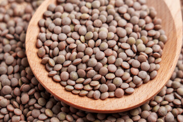 Fototapeta premium A wooden spoon filled with uncooked lentil grains close up. Organic ingredient