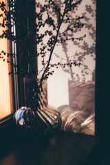 Minimalist interior still life featuring a transparent glass vase with red berry branches placed on a windowsill. Warm natural sunlight creates an elegant play of shadows and light play on the wall.