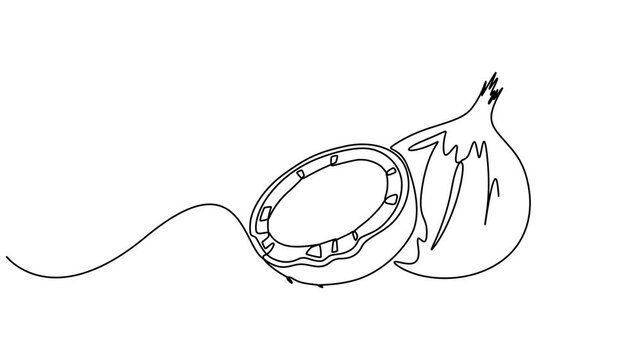 Continuous one line drawing of a coconut drink with straw, single line vector art 4k animation video, Animated self drawing of continuous one line draw green coconuts with drinking straw and flower.