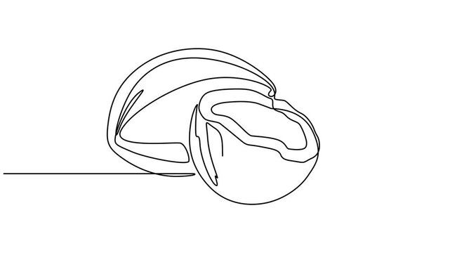 Continuous one line drawing of a coconut drink with straw, single line vector art 4k animation video, Animated self drawing of continuous one line draw green coconuts with drinking straw and flower.