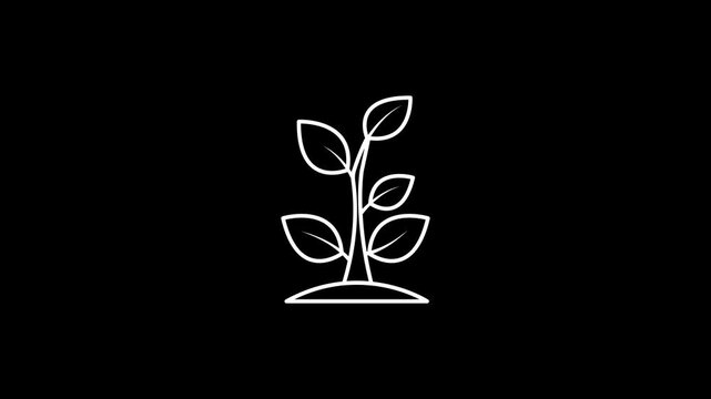 Liner black and white tree icon animation. 4k stock video