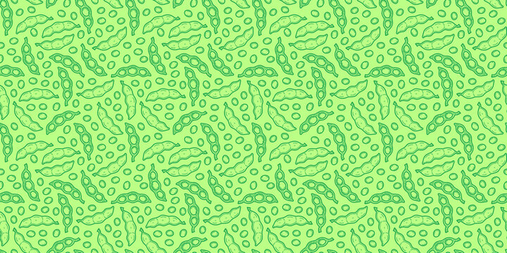 doodle edamame pattern background. green soybeans or peas pattern background. Soybean seamless pattern background. edamame seamless pattern background.