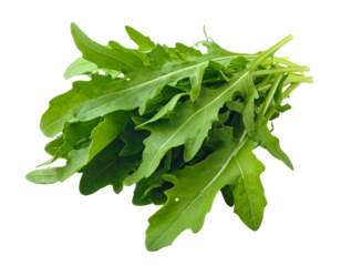 Vibrant green leafy bunch with jagged edges on black