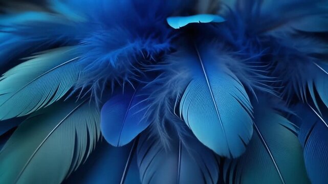 A close-up view of blue feathers arranged in a layered pattern, showcasing various shades and textures from a directly overhead viewpoint