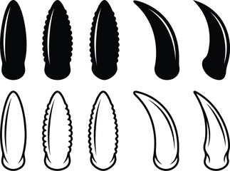 Collection of black and white dinosaur claws and teeth silhouettes tooth © vector Art