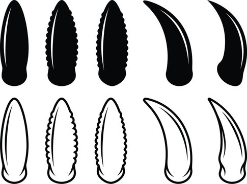 Collection of black and white dinosaur claws and teeth silhouettes tooth
