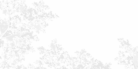 Obraz premium Delicate tree branches form a subtle light gray pattern on a white background