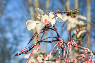wave in the sea. splashes from the boat. Minimalist background