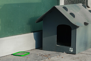A street cat  yawns at the door of a cat house. Caring for homeless pets concept. There are many houses for homeless cats in the streets. Istanbul Cat House Street