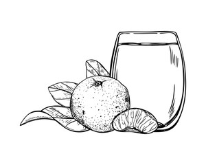 Mandarin juice in glass monochrome vector isolated composition. Sweet smoothie, fresh tangerine fruit and leaves etching drawing. Non alcohol beverage in tumbler and citrus fruits