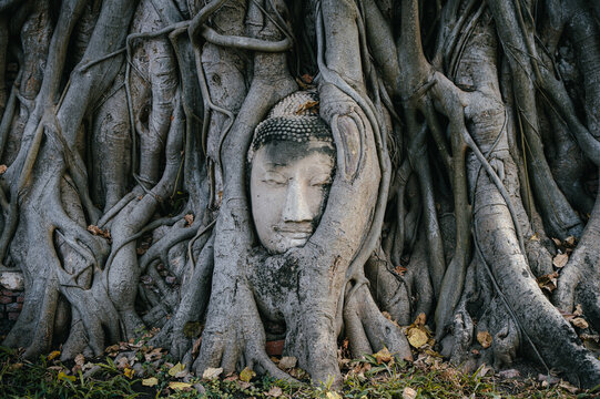 Wat Mahathat