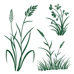Fototapeta premium green grass vector illustration