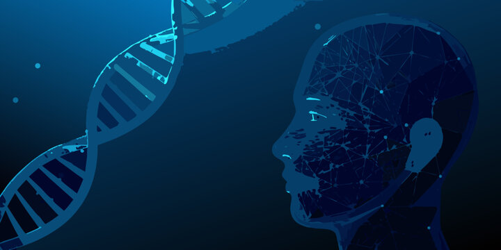 dna strands and a human head represented by a network of interconnected points