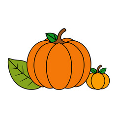 pumpkin on a white background