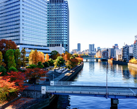 大阪ビジネスパーク水辺の秋色
