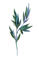 Fototapeta premium Purple watercolor flowers set with delicate violet blooms and leafy stems isolated on white for spring wedding stationery