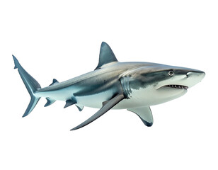 Fototapeta premium Majestic predator, a powerful shark glides through dark, deep waters