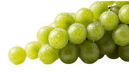 Close-up of a bunch of fresh, green grapes with water droplets, isolated on a black background