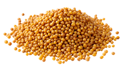 Pile of yellow mustard seeds isolated on transparent background