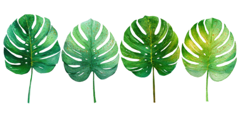 Four watercolor-style monstera leaves with varying shades of green, black background