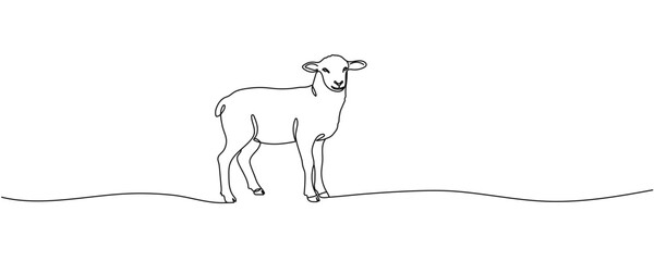 A minimalist design, executed in continuous lines, depicts a lamb or sheep. Perfect as an Easter concept. Editable stroke