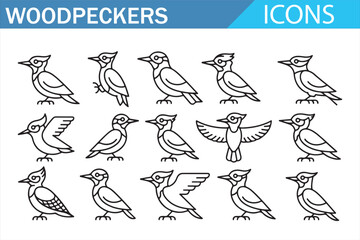 Naklejka premium Woodpecker bird line art icon set for wildlife and ecology projects